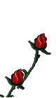 2roses.gif